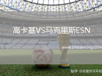 高卡基VS馬克里斯ESN