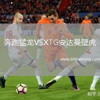 奔跑猛龍VSXTG安達(dá)曼壁虎