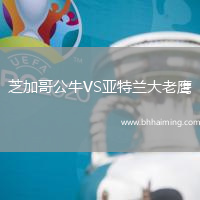 芝加哥公牛VS亞特蘭大老鷹