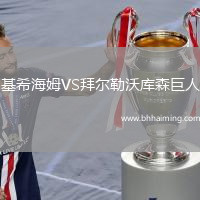 基希海姆VS拜爾勒沃庫森巨人