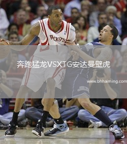 奔跑猛龍VSXTG安達(dá)曼壁虎