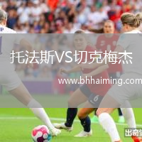 托法斯VS切克梅杰