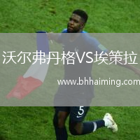 沃爾弗丹格VS埃策拉