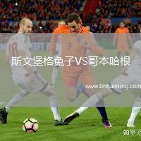 斯文堡格兔子VS哥本哈根