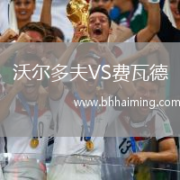 沃爾多夫VS費(fèi)瓦德