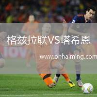 格茲拉聯(lián)VS塔希恩