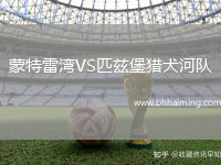 蒙特雷灣VS匹茲堡獵犬河隊