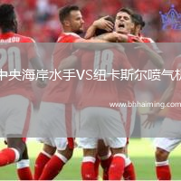 中央海岸水手VS紐卡斯爾噴氣機