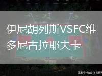 伊尼胡列斯VSFC維多尼古拉耶夫卡