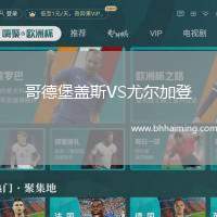 哥德堡蓋斯VS尤爾加登