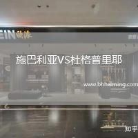 施巴利亞VS杜格普里耶