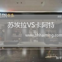 蘇埃拉VS卡阿特