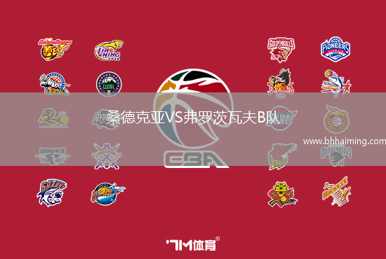 桑德克亞VS弗羅茨瓦夫B隊(duì)