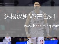 達(dá)根漢姆VS霍舍姆