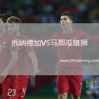 拆納德加VS馬那瓜雄獅