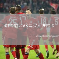 謝吉尼采VS普羅喬維贊卡