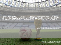 托爾德西利亞斯VS布爾戈斯