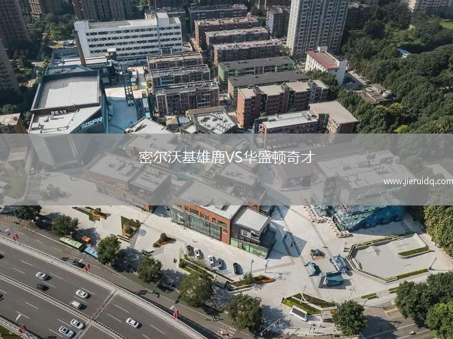 珀斯野貓VS伊拉瓦拉老鷹