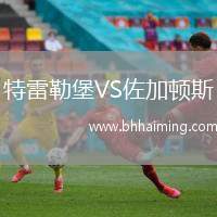 特雷勒堡VS佐加頓斯