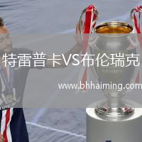 特雷普卡VS布倫瑞克