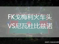 FK戈梅利火車(chē)頭VS尼瓦杜比茲諾