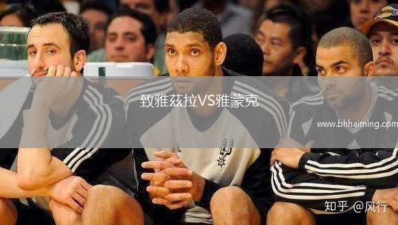 致雅茲拉VS雅蒙克