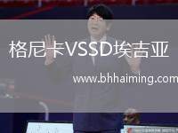 格尼卡VSSD埃吉亞
