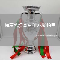 梅夏特堤基布利VS斯帕里