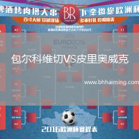 包爾科維切VS皮里奧威克