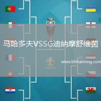 馬哈多夫VSSG迪納摩舒維茵