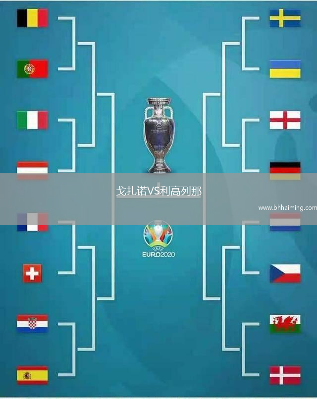 戈扎諾VS利高列那