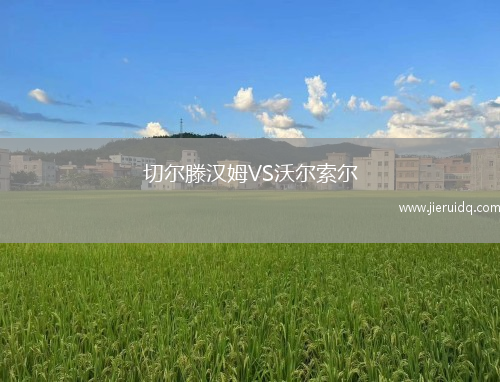 弗羅茨瓦夫青年隊VS樸盧斯高青年隊