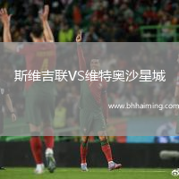 斯維吉聯(lián)VS維特奧沙星城