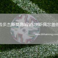 洛多杰斯莫魯姆VS埃斯佩爾蓋德