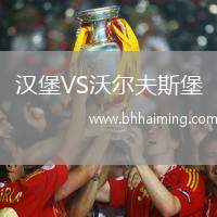 漢堡VS沃爾夫斯堡