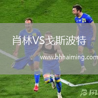 肖林VS戈斯波特