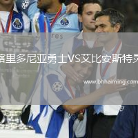 喀里多尼亞勇士VS艾比安斯特靈