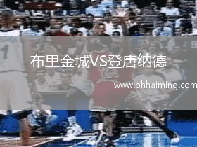 布里金城VS登唐納德