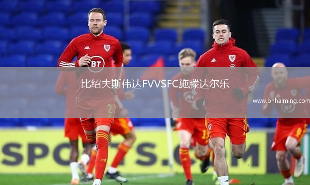 比紹夫斯偉達FVVSFC施滕達爾樂