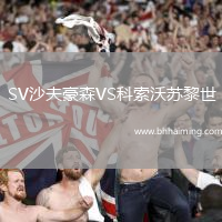 SV沙夫豪森VS科索沃蘇黎世