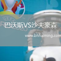 巴沃斯VS沙夫豪森
