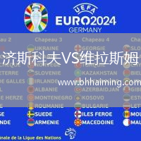 濟斯科夫VS維拉斯姆