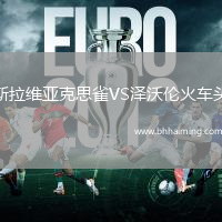 斯拉維亞克思雀VS澤沃倫火車(chē)頭