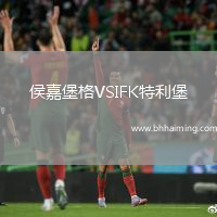 侯嘉堡格VSIFK特利堡