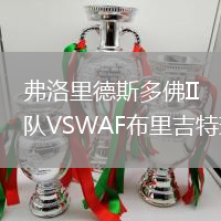弗洛里德斯多佛II隊(duì)VSWAF布里吉特瑙