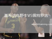 基希訥烏野牛VS佩特羅古