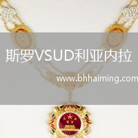 斯羅VSUD利亞內(nèi)拉
