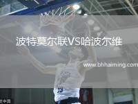 波特莫爾聯(lián)VS哈波爾維