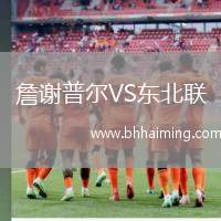 詹謝普爾VS東北聯(lián)