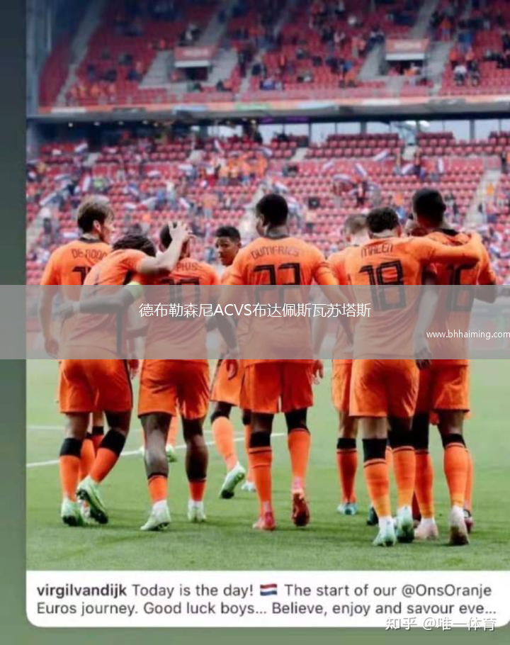 德布勒森尼ACVS布達(dá)佩斯瓦蘇塔斯